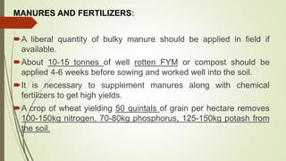 MANURES AND FERTILIZERS:
A liberal quantity of bulky manure should be applied in field if
available.
About 10-15 tonnes of well rotten FYM or compost should be
applied 4-6 weeks before sowing and worked well into the soil.
It is necessary to supplement manures along with chemical
fertilizers to get high yields.
A crop of wheat yielding 50 quintals of grain per hectare removes
100-150kg nitrogen, 70-80kg phosphorus, 125-150kg potash from
the soil.
 