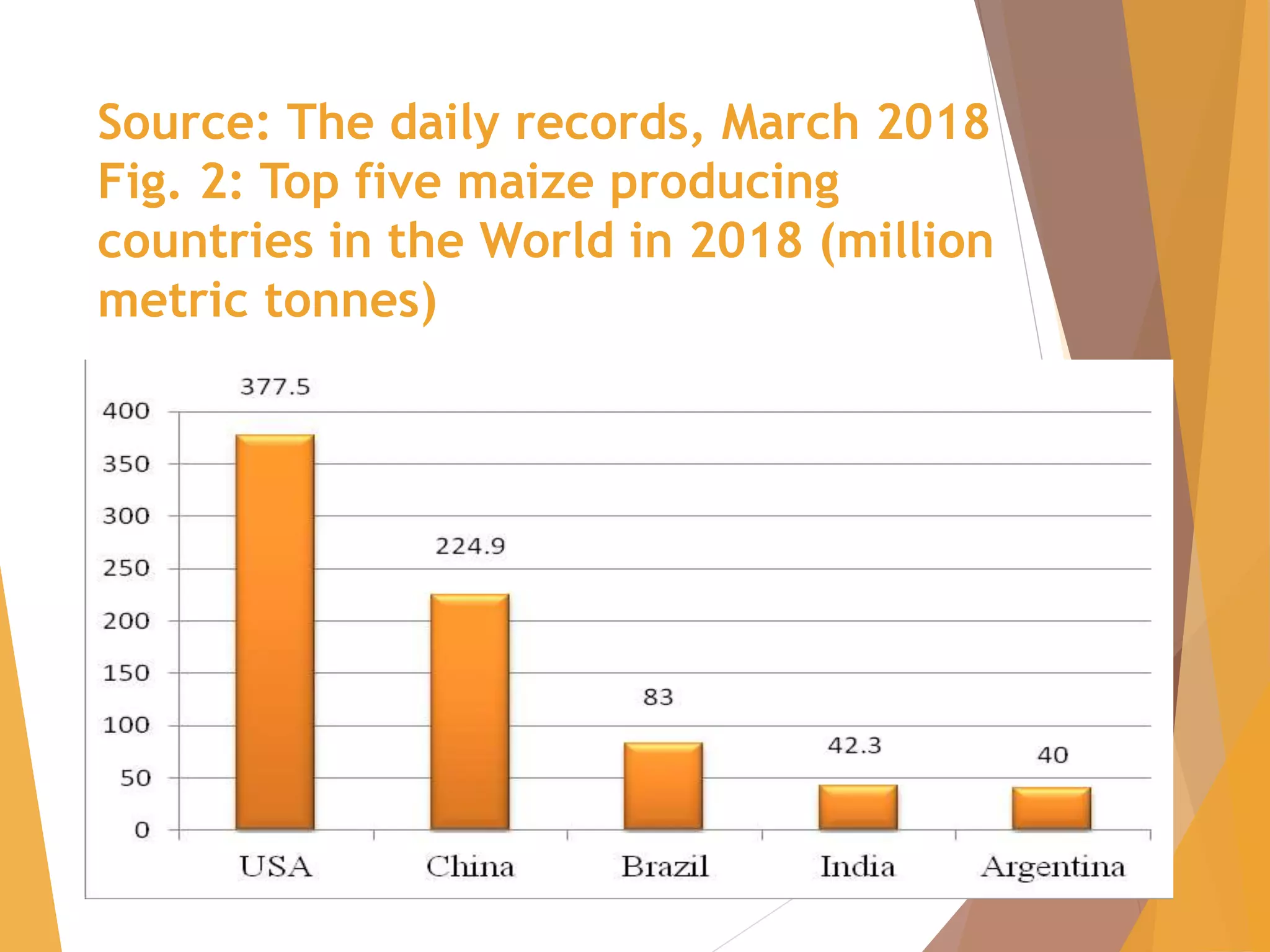 Maize PPTX