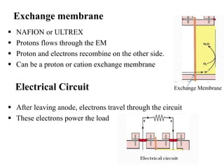 Exchange membrane
 NAFION or ULTREX
 Protons flows through the EM
 Proton and electrons recombine on the other side.
 Can be a proton or cation exchange membrane
 After leaving anode, electrons travel through the circuit
 These electrons power the load
Exchange MembraneElectrical Circuit
 