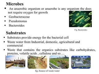 Microbes
 An anaerobic organism or anaerobe is any organism the does
not require oxygen for growth
 Geobacteraceae
 Pseudomonas
 Bacteroides
Substrates
 Substrates provide energy for the bacterial cell
 Waste water from Industrial, domestic, agricultural and
commercial
 Waste that contains the organics substrates like carbohydrates,
proteins, volatile acids , cellulose and so….
Fig..Bacteroides
fig..Source of waste water
 