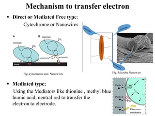 Mechanism to transfer electron
 Direct or Mediated Free type;
Cytochrome or Nanowires
 Mediated type;
Using the Mediators like thionine , methyl blue,
humic acid, neutral red to transfer the
electron to electrode.
Fig..cytochrome and Nanowires Fig..Microbe Nanowire
 