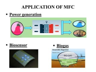 APPLICATION OF MFC
 Power generation
 Biosensor  Biogas
 