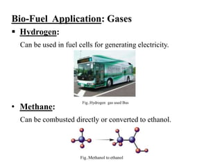 Bio-Fuel Application: Gases
 Hydrogen:
Can be used in fuel cells for generating electricity.
• Methane:
Can be combusted directly or converted to ethanol.
Fig..Methanol to ethanol
Fig..Hydrogen gas used Bus
 