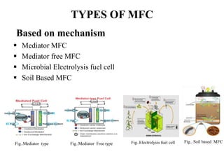 TYPES OF MFC
Based on mechanism
 Mediator MFC
 Mediator free MFC
 Microbial Electrolysis fuel cell
 Soil Based MFC
Fig..Mediator type Fig..Mediator Free type Fig..Electrolysis fuel cell Fig.. Soil based MFC
 
