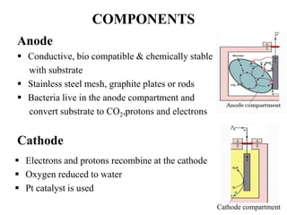 COMPONENTS
Anode
 Conductive, bio compatible & chemically stable
with substrate
 Stainless steel mesh, graphite plates or rods
 Bacteria live in the anode compartment and
convert substrate to CO2,protons and electrons
 Electrons and protons recombine at the cathode
 Oxygen reduced to water
 Pt catalyst is used
Cathode
Cathode compartment
 