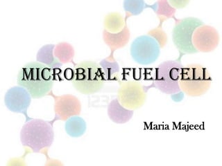 Microbial Fuel Cell
Maria Majeed

 