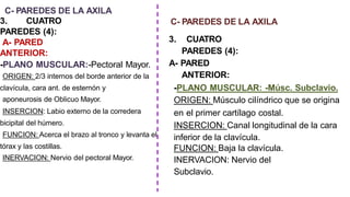 C- PAREDES DE LA AXILA
3. CUATRO
PAREDES (4):
A- PARED
ANTERIOR:
-PLANO MUSCULAR:-Pectoral Mayor.
ORIGEN: 2/3 internos del borde anterior de la
clavícula, cara ant. de esternón y
aponeurosis de Oblicuo Mayor.
INSERCION: Labio externo de la corredera
bicipital del húmero.
FUNCION: Acerca el brazo al tronco y levanta el
tórax y las costillas.
INERVACION: Nervio del pectoral Mayor.
C- PAREDES DE LA AXILA
3. CUATRO
PAREDES (4):
A- PARED
ANTERIOR:
-PLANO MUSCULAR: -Músc. Subclavio.
ORIGEN: Músculo cilíndrico que se origina
en el primer cartílago costal.
INSERCION: Canal longitudinal de la cara
inferior de la clavícula.
FUNCION: Baja la clavícula.
INERVACION: Nervio del
Subclavio.
 