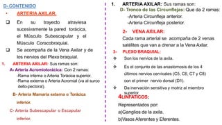D- CONTENIDO
• ARTERIA AXILAR.
❑ En su trayecto atraviesa
sucesivamente la pared torácica,
el Músculo Subescapular y el
Músculo Coracobraquial.
❑ Se acompaña de la Vena Axilar y de
los nervios del Plexo braquial.
1. ARTERIA AXILAR: Sus ramas son:
A- Arteria Acromiotorácica: Con 2 ramas:
-Rama interna o Arteria Torácica superior.
-Rama externa o Arteria Acromial (va al surco
delto-pectoral).
B- Arteria Mamaria externa o Torácica
inferior.
C- Arteria Subescapular o Escapular
inferior.
1. ARTERIA AXILAR: Sus ramas son:
D- Tronco de las Circunflejas: Que da 2 ramas:
-Arteria Circunfleja anterior.
-Arteria Circunfleja posterior.
2- VENA AXILAR:
Cada rama arterial se acompaña de 2 venas
satélites que van a drenar a la Vena Axilar.
3- PLEXO BRAQUIAL:
❖ Son los nervios de la axila.
❖ Es el conjunto de las anastomosis de los 4
últimos nervios cervicales (C5, C6, C7 y C8)
con el primer nervio dorsal (D1).
❖ Da inervación sensitiva y motriz al miembro
superior.
4LINFATICOS:
Representados por:
a)Ganglios de la axila.
b)Vasos Aferentes y Eferentes.
 