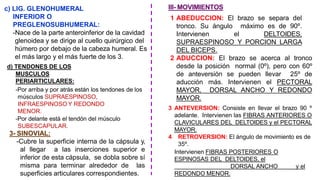 c) LIG. GLENOHUMERAL
INFERIOR O
PREGLENOSUBHUMERAL:
-Nace de la parte anteroinferior de la cavidad
glenoidea y se dirige al cuello quirúrgico del
húmero por debajo de la cabeza humeral. Es
el más largo y el más fuerte de los 3.
d) TENDONES DE LOS
MUSCULOS
PERIARTICULARES:
-Por arriba y por atrás están los tendones de los
músculos SUPRAESPINOSO,
INFRAESPINOSO Y REDONDO
MENOR.
-Por delante está el tendón del músculo
SUBESCAPULAR.
3- SINOVIAL:
-Cubre la superficie interna de la cápsula y,
al llegar a las inserciones superior e
inferior de esta cápsula, se dobla sobre sí
misma para terminar alrededor de las
superficies articulares correspondientes.
III- MOVIMIENTOS
1 ABEDUCCION: El brazo se separa del
tronco. Su ángulo máximo es de 90º.
Intervienen el DELTOIDES,
SUPRAESPINOSO Y PORCION LARGA
DEL BICEPS.
2 ADUCCION: El brazo se acerca al tronco
desde la posición normal (0º), pero con 60º
de anteversión se pueden llevar 25º de
aducción más. Intervienen el PECTORAL
MAYOR, DORSAL ANCHO Y REDONDO
MAYOR.
3 ANTEVERSION: Consiste en llevar el brazo 90 º
adelante. Intervienen las FIBRAS ANTERIORES O
CLAVICULARES DEL DELTOIDES y el PECTORAL
MAYOR.
4 RETROVERSION: El ángulo de movimiento es de
35º.
Intervienen FIBRAS POSTERIORES O
ESPINOSAS DEL DELTOIDES, el
DORSAL ANCHO y el
REDONDO MENOR.
 