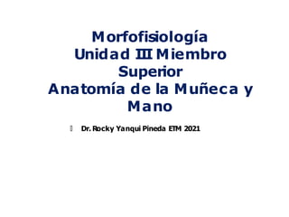 Morfofisiología
Unidad III Miembro
Superior
Anatomía de la Muñeca y
Mano
🠶 Dr. Rocky Yanqui Pineda ETM 2021
 