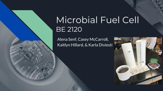 Microbial Fuel Cell
BE 2120
Alena Senf, Casey McCarroll,
Kaitlyn Hillard, & Karla Diviesti
 