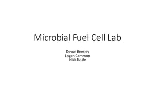 Microbial Fuel Cell Lab
Devon Beesley
Logan Gammon
Nick Tuttle
 