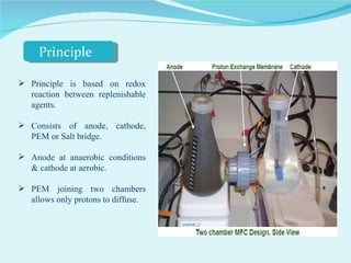 Principle is based on redox reaction between replenishable agents.  Consists of anode, cathode, PEM or Salt bridge.  Anode at anaerobic conditions & cathode at aerobic.  PEM joining two chambers allows only protons to diffuse.  Principle 
