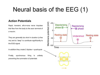 Neural basis of the EEG (1)
Action Potentials
Rapid, transient, all-or-none nerve impulses
that flow from the body to the axon terminal of
a neuron.
They are generally too short in duration (a few
ms) and to “deep” to contribute significantly to
the EGG signal.
In addition they create 2 dipoles = quadrupole
Finally, synchronous firing is unlikely
preventing the summation of potentials
 