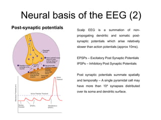 Neural basis of the EEG (2)
Post-synaptic potentials Scalp EEG is a summation of non-
propogating dendritic and somatic post-
synaptic potentials which arise relatively
slower than action potentials (approx 10ms).
EPSPs – Excitatory Post Synaptic Potentials
IPSPs – Inhibitory Post Synaptic Potentials
Post synaptic potentials summate spatially
and temporally – A single pyramidal cell may
have more than 104 synapses distributed
over its soma and dendritic surface.
 
