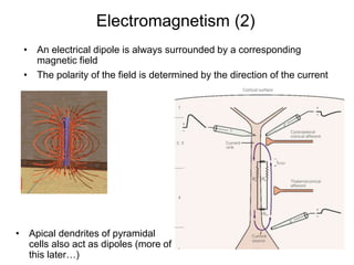 • An electrical dipole is always surrounded by a corresponding
magnetic field
• The polarity of the field is determined by the direction of the current
Electromagnetism (2)
• Apical dendrites of pyramidal
cells also act as dipoles (more of
this later…)
 