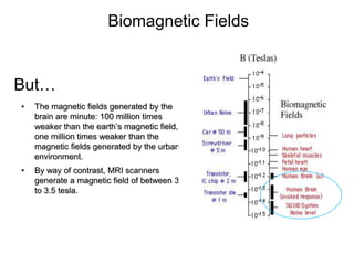 • The magnetic fields generated by the
brain are minute: 100 million times
weaker than the earth’s magnetic field,
one million times weaker than the
magnetic fields generated by the urban
environment.
• By way of contrast, MRI scanners
generate a magnetic field of between 3
to 3.5 tesla.
Biomagnetic Fields
But…
 