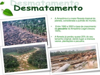 •   A Amazônia é a maior floresta tropical do
    planeta, considerada o pulmão do mundo;

•   Entre 1990 e 2003 a taxa de crescimento
    da pecuária na Amazônia Legal cresceu
    140%;

•   A floresta já perdeu quase 20% do seu
    tamanho original, dando lugar a imensos
    vazios, plantações e pecuária.
 