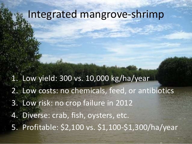 Certified Organic Shrimp A New Approach To Mangrove Pes Certified Organic Shrimp A New Approach To Mangrove Pes