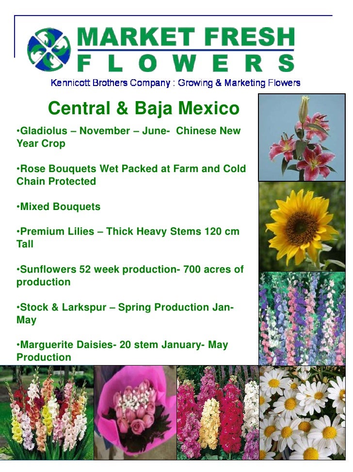 Market Fresh Flowers