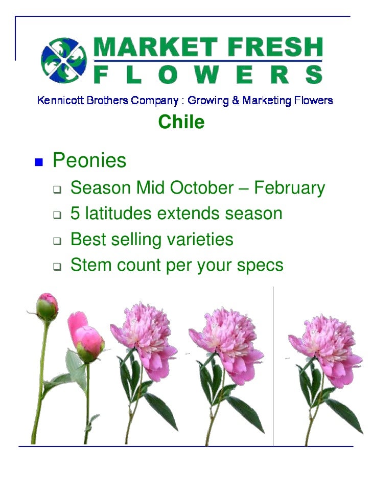 Market Fresh Flowers