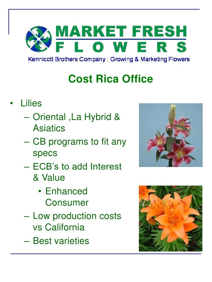 Market Fresh Flowers