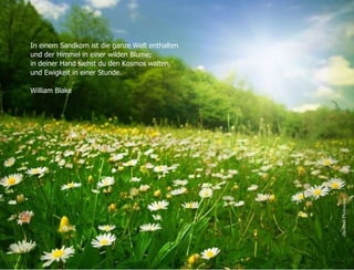 25.05.11 Seite  In einem Sandkorn ist die ganze Welt enthalten und der Himmel in einer wilden Blume; in deiner Hand siehst du den Kosmos walten, und Ewigkeit in einer Stunde. William Blake chrisroll Photocase 
