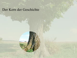 25.05.11 Seite  Der Kern der Geschichte Miss x photocase 