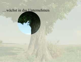 25.05.11 Seite  … wächst in das Unternehmen Miss x photocase 