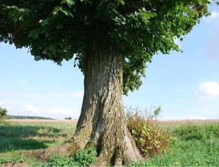 25.05.11 Seite  Miss x photocase 