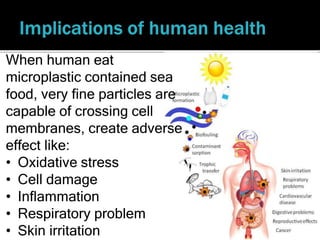 Eating Particles Trophic Transfer of Microplastics and Mixed Contaminants in the Marine ...