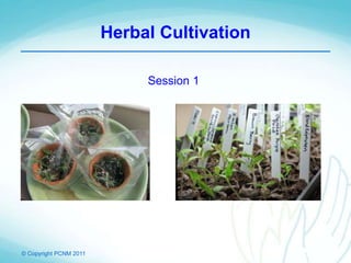 © Copyright PCNM 2011
Herbal Cultivation
Session 1
 