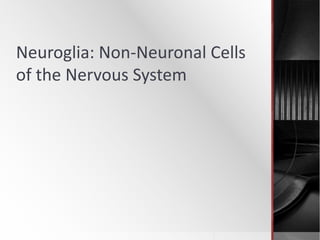 Neuroglia: Non-Neuronal Cells 
of the Nervous System 
 