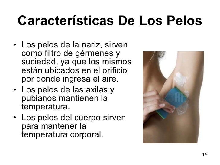La máscara de espino cerval de mar para los cabellos normales y secos