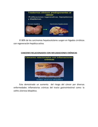 El 80% de los carcinomas hepatocelulares surgen en hígados cirróticos
con regeneración hepática activa.

CANCERES RELACIONADOS CON INFLAMACIONES CRÓNICAS

Esta demostrado un aumento del riesgo del cáncer por diversas
enfermedades inflamatorias crónicas del tracto gastrointestinal como: la
colitis ulcerosa idiopática.

 