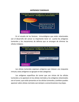 ANTÍGENOS TUMORALES

En el estudio de los factores inmunológicos que están relacionados
con el desarrollo del cáncer es importante tener en cuenta los antígenos
tumorales y los mecanismos de defensa que se encargan de eliminar las
células malignas.

Las células tumorales expresan antígenos que inducen una respuesta
inmune; estos antígenos se agrupan en dos categorías:
Los antígenos específicos de tumor que son únicos de las células
tumorales y no aparecen en las células normales y los antígenos relacionados
con el tumor, que están presentes en las células tumorales y tambien pueden
aparecer sobre células normales casi siempre a concentraciones muy bajas.

 