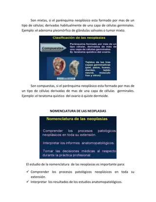 Son mixtas, si el parénquima neoplásico esta formado por mas de un
tipo de células; derivadas habitualmente de una capa de células germinales.
Ejemplo: el adenoma pleomórfico de glándulas salivales o tumor mixto.

Son compuestas, si el parénquima neoplásico esta formado por mas de
un tipo de células derivadas de mas de una capa de células germinales.
Ejemplo: el teratoma quístico del ovario ó quiste dermoide.

NOMENCLATURA DE LAS NEOPLASIAS

El estudio de la nomenclatura de las neoplasias es importante para:
 Comprender los procesos patológicos neoplásicos en toda su
extensión.
 Interpretar los resultados de los estudios anatomopatológicos.

 