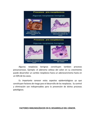 Algunas neoplasias benignas constituyen tambien procesos
precancerosos. Ejemplo: el adenoma velloso del colon en su crecimiento
puede desarrollar un cambio neoplásico hacia un adenocarcinoma hasta en
un 50% de los casos.
Es importante conocer estos aspectos epidemiológicos ya que
constituyen factores de riesgo para el desarrollo de las neoplasias. Su control
y eliminación son indispensables para la prevención de dichos procesos
patológicos.
FACTORES INMUNOLÓGICOS EN EL DESARROLLO DEL CÁNCER.
 