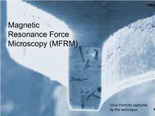 Magnetic Resonance Force Microscopy (MFRM) Virus Particles captured by this technique. 
