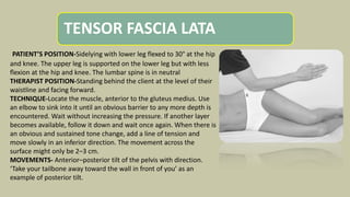 TENSOR FASCIA LATA
.
PATIENT’S POSITION-Sidelying with lower leg flexed to 30° at the hip
and knee. The upper leg is supported on the lower leg but with less
flexion at the hip and knee. The lumbar spine is in neutral
THERAPIST POSITION-Standing behind the client at the level of their
waistline and facing forward.
TECHNIQUE-Locate the muscle, anterior to the gluteus medius. Use
an elbow to sink into it until an obvious barrier to any more depth is
encountered. Wait without increasing the pressure. If another layer
becomes available, follow it down and wait once again. When there is
an obvious and sustained tone change, add a line of tension and
move slowly in an inferior direction. The movement across the
surface might only be 2–3 cm.
MOVEMENTS- Anterior–posterior tilt of the pelvis with direction.
‘Take your tailbone away toward the wall in front of you’ as an
example of posterior tilt.
 