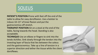 SOLEUS
PATIENT’S POSITION-Prone with feet off the end of the
table to allow for easy dorsiflexion. Use a bolster to
induce 10–15° of knee flexion and put the
gastrocnemius off stretch.
THERAPIST POSITION-Sit on a stool at the end of the
table, facing towards the head. Standing is also
acceptable.
TECHNIQUE-Use an elbow or fingers to sink into the
tendo Achilles. Sink slowly through the tendon into the
investing layer of fascia that lies between the soleus
and the gastrocnemius. Take up a line of tension in a
superior direction and tether the tissue while the client
dorsiflexes.
 