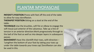 PLANTAR MYOFASCIAE
PATIENT’S POSITION-Prone with feet off the end of the table
to allow for easy dorsiflexion.
THERAPIST POSITION-Sitting on a stool at the end of the
table.
TECHNIQUE-Use the knuckles, soft fist or elbow to engage the
soft tissue just anterior of the calcaneus. Take up a line of
tension in an anterior direction.Work progressively through to
the ball of the foot as well as into deeper layers in subsequent
passes.
MOVEMENT-Have the clientlift their toes, with direction –
‘Lengthen the bottom of your foot by taking your toes up
under the table towards your knee cap’.Dorsiflexion can also
be used in this.
 