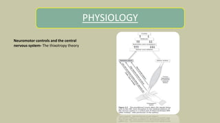 PHYSIOLOGY
Neuromotor controls and the central
nervous system- The thixotropy theory
 