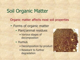 Soil Organic Matter
 Organic matter affects most soil properties
  Forms of organic matter
    • Plant/animal residues
       • Various stages of
         decomposition
    • Humus
       • Decomposition by-product
       • Resistant to further
         degradation
 