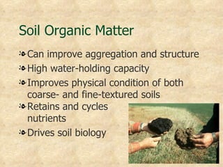 Soil Organic Matter
l Can improve aggregation and structure
l High water-holding capacity
l Improves physical condition of both
  coarse- and fine-textured soils
l Retains and cycles
  nutrients
l Drives soil biology
 