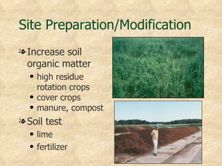 Site Preparation/Modification
l Increase soil
  organic matter
  q   high residue
      rotation crops
  q   cover crops
  q   manure, compost
l Soil test
  q   lime
  q   fertilizer
 