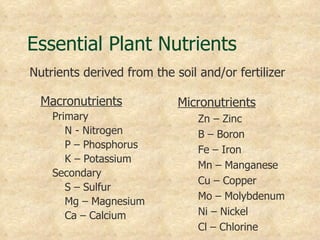 Essential Plant Nutrients
Nutrients derived from the soil and/or fertilizer

  Macronutrients            Micronutrients
    Primary                     Zn – Zinc
       N - Nitrogen             B – Boron
       P – Phosphorus           Fe – Iron
       K – Potassium
                                Mn – Manganese
    Secondary
                                Cu – Copper
       S – Sulfur
       Mg – Magnesium           Mo – Molybdenum
       Ca – Calcium             Ni – Nickel
                                Cl – Chlorine
 
