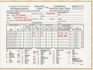 Sherburne
Pine Hill Vineyard
  123 Needle Lane
                               48
     Big Lake, MN 55309




    1                     57   57               x x    x
    2                     25   57               x x x xx
 