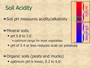 Soil Acidity
l Soil pH measures acidity/alkalinity

l Mineral soils
  q   pH 5.8 to 7.0
       • optimum range for most vegetables
  q   pH of 5.4 or less reduces scab on potatoes


l Organic soils (peats and mucks)
  q   optimum pH is lower, 5.2 to 6.0
 