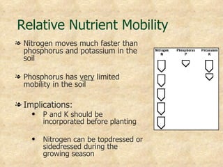 Relative Nutrient Mobility
l Nitrogen moves much faster than
  phosphorus and potassium in the
  soil

l Phosphorus has very limited
  mobility in the soil

l Implications:
    q   P and K should be
        incorporated before planting

    q   Nitrogen can be topdressed or
        sidedressed during the
        growing season
 